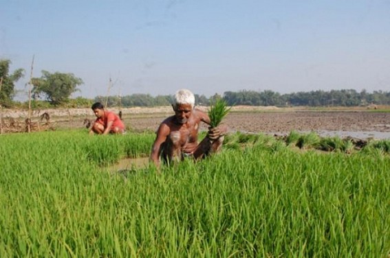 Initiatives taken by the Agriculture Department to make the farmers of the state self reliant Initiatives taken by the Agriculture Department to make the farmers of the state self reliant